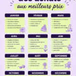 Un calendrier illustrant les meilleures périodes d'achats pour faire des économies, avec des couleurs attractives et des icônes de produits.
