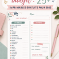 Un classeur budgétaire ouvert avec des feuilles de calcul et des outils de gestion financière.