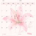 Un planner mensuel avec un design élégant orné de lys roses