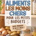 Présentation de plusieurs aliments économiques pour un budget frugal, comprenant légumes et grains.